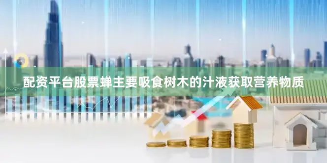 配资平台股票蝉主要吸食树木的汁液获取营养物质
