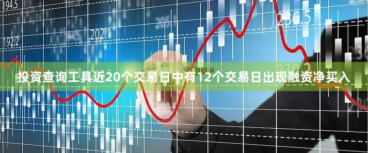 投资查询工具近20个交易日中有12个交易日出现融资净买入