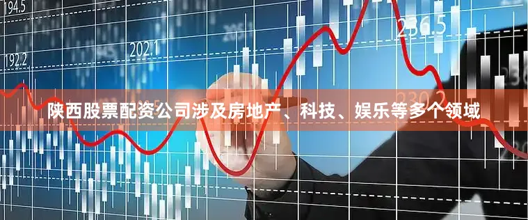 陕西股票配资公司涉及房地产、科技、娱乐等多个领域